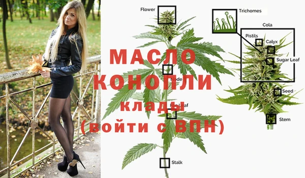 тгк Янаул