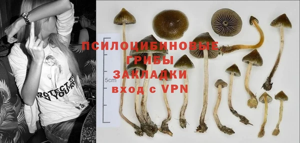 спиды Беломорск