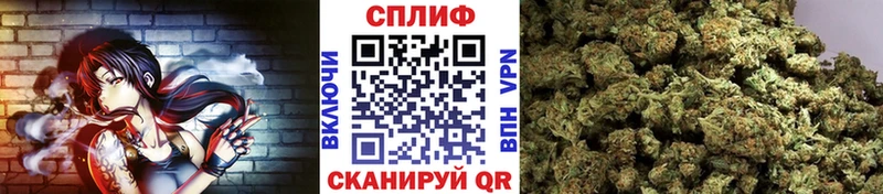 продажа наркотиков  Верхняя Пышма  Бошки марихуана конопля 
